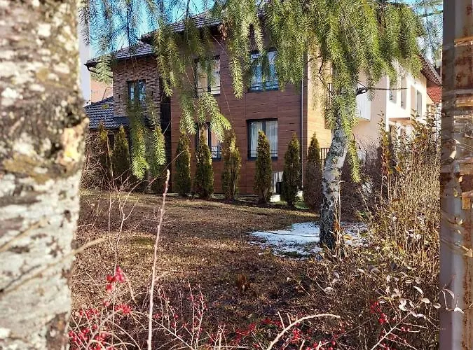 Lena Marie * ズラティボール